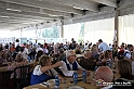 VBS_8801 - Fiera del Peperone di Carmagnola - Festa di Re Peperone e Bela Povronera